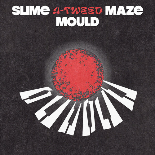 A-Tweed - SLIME MOULD MAZE EP [FT044]